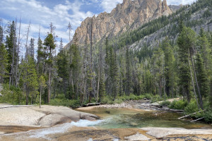 Smiley Creek Lodge